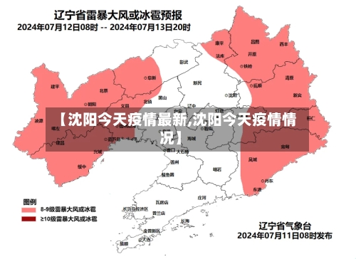 【沈阳今天疫情最新,沈阳今天疫情情况】-第3张图片