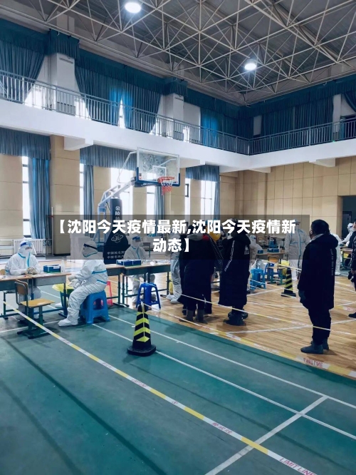 【沈阳今天疫情最新,沈阳今天疫情新动态】-第2张图片