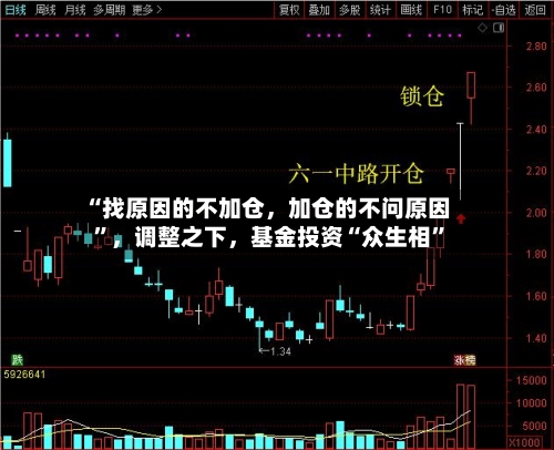 “找原因的不加仓，加仓的不问原因”，调整之下	，基金投资“众生相”-第2张图片