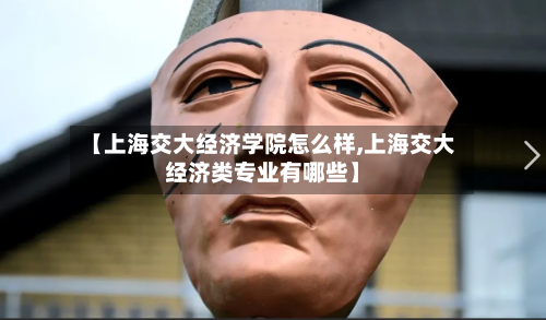 【上海交大经济学院怎么样,上海交大经济类专业有哪些】