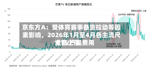 京东方A：受体育赛事备货拉动等因素影响，2026年1月至4月各主流尺寸TV产品费用全面上涨