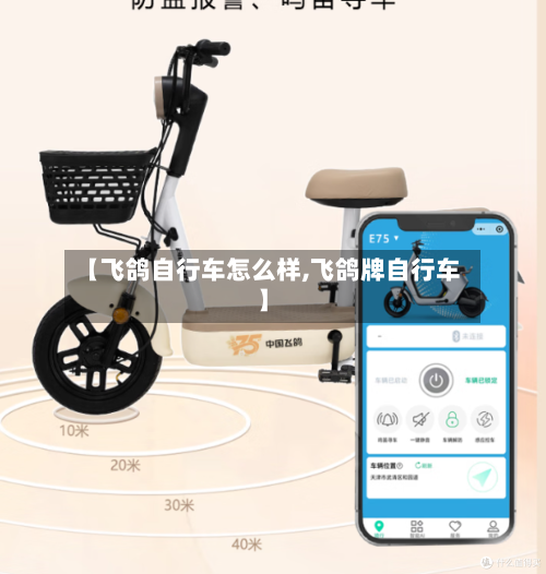 【飞鸽自行车怎么样,飞鸽牌自行车】-第3张图片