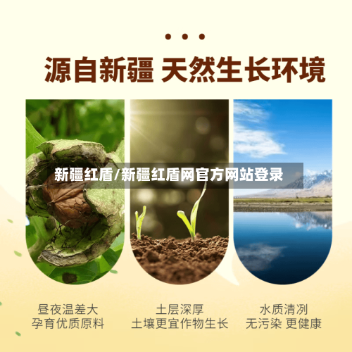 新疆红盾/新疆红盾网官方网站登录-第3张图片