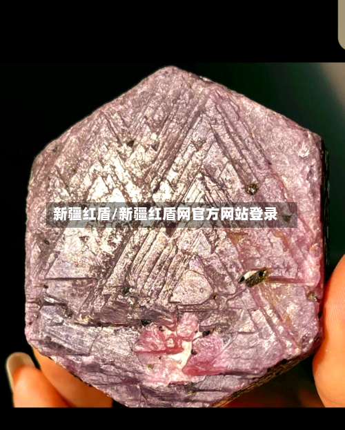新疆红盾/新疆红盾网官方网站登录