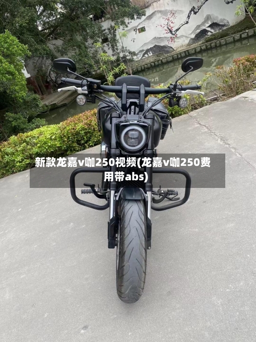 新款龙嘉v咖250视频(龙嘉v咖250费用带abs)