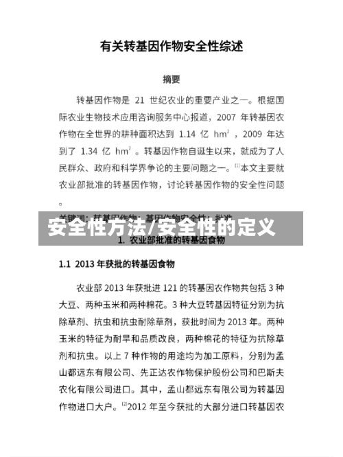 安全性方法/安全性的定义