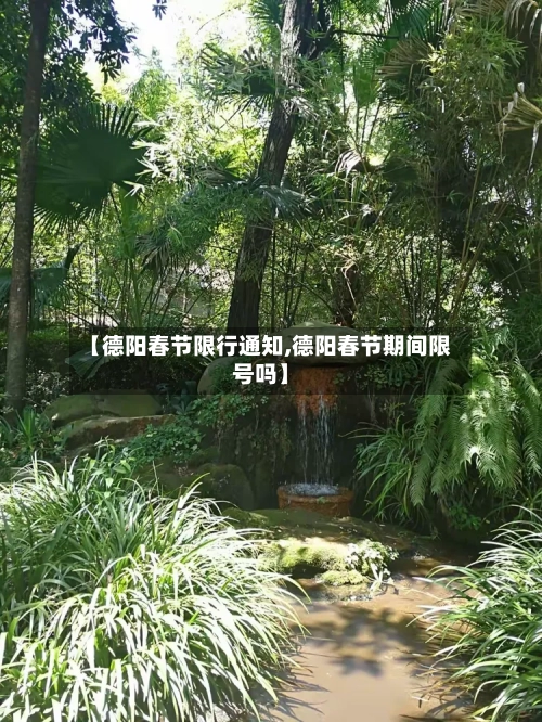 【德阳春节限行通知,德阳春节期间限号吗】