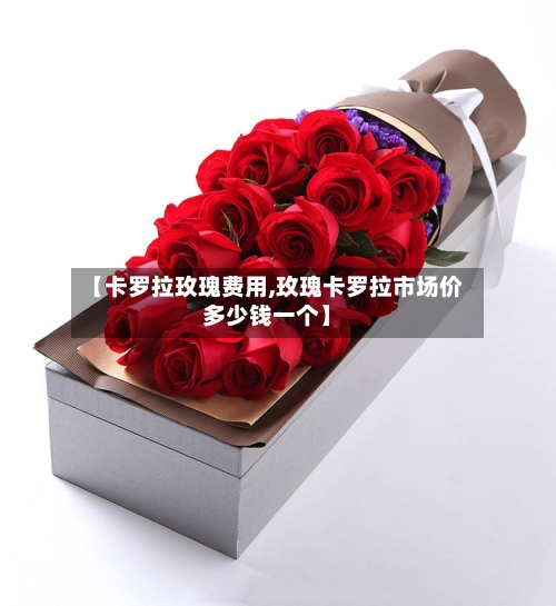 【卡罗拉玫瑰费用,玫瑰卡罗拉市场价多少钱一个】-第3张图片