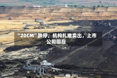 “20CM”跌停，机构扎堆卖出，上市公司回应-第2张图片