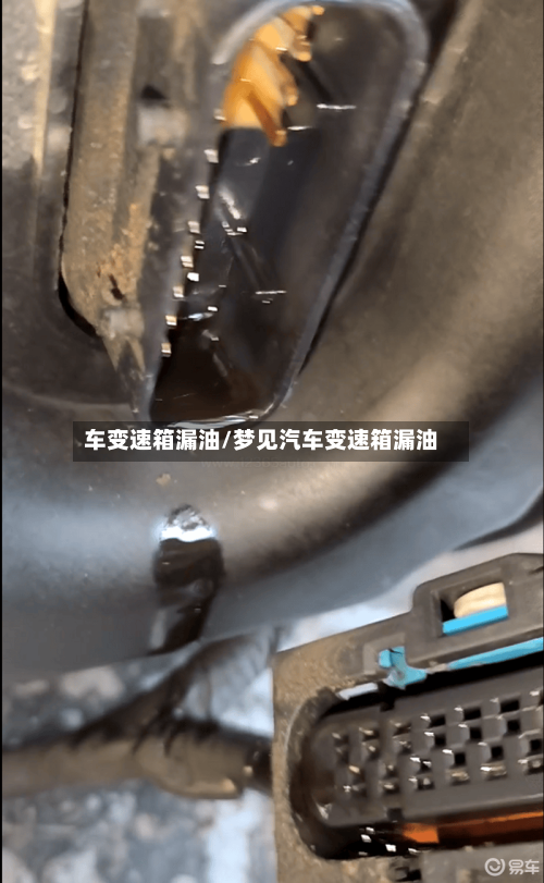 车变速箱漏油/梦见汽车变速箱漏油