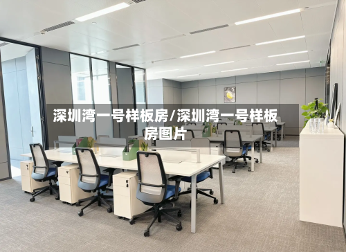 深圳湾一号样板房/深圳湾一号样板房图片