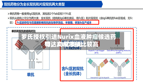 罗氏授权引进Nurix血液肿瘤候选药物，交易总额比较高可达23亿美元-第2张图片