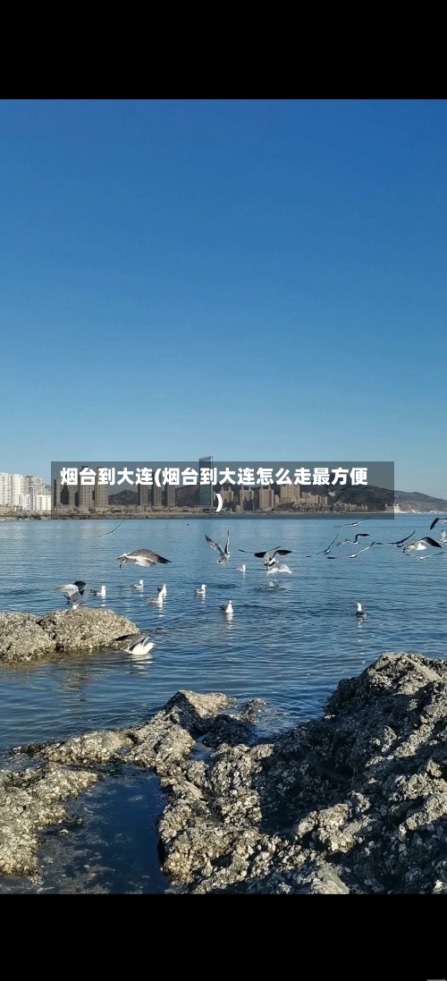 烟台到大连(烟台到大连怎么走最方便)