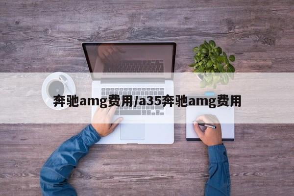 奔驰amg费用/a35奔驰amg费用