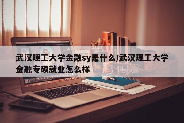 武汉理工大学金融sy是什么/武汉理工大学金融专硕就业怎么样