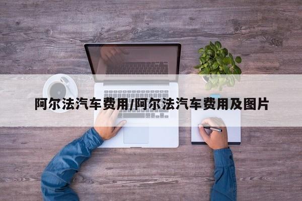 阿尔法汽车费用/阿尔法汽车费用及图片