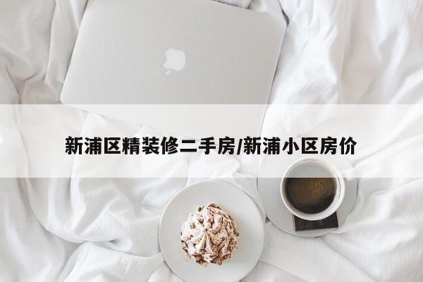 新浦区精装修二手房/新浦小区房价