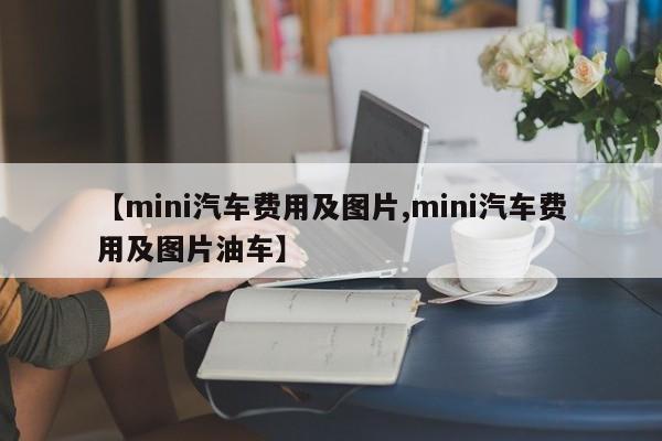 【mini汽车费用及图片,mini汽车费用及图片油车】