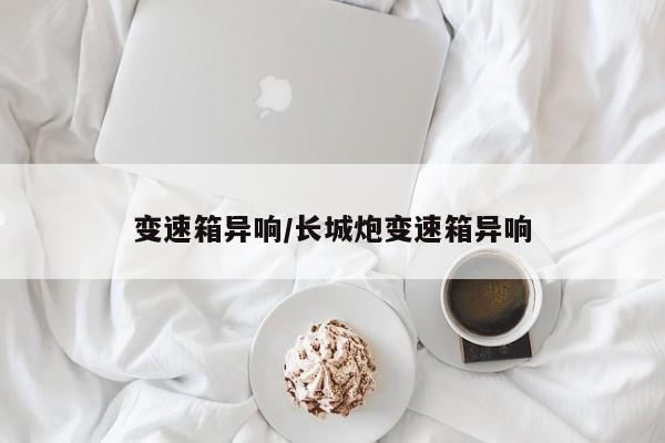 变速箱异响/长城炮变速箱异响