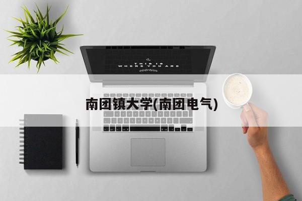 南团镇大学(南团电气)